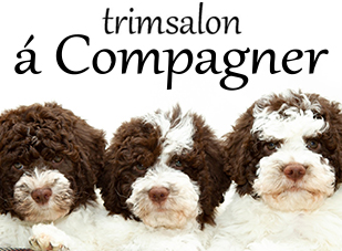 Trimsalon á Compagner